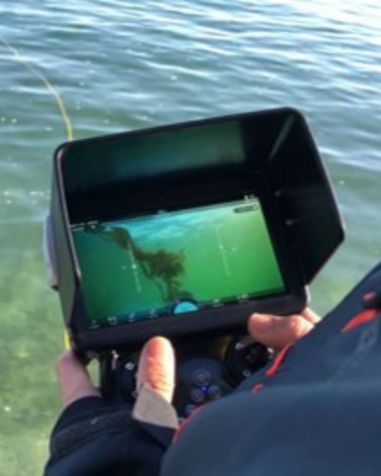 Monitoring Kelp with ROV