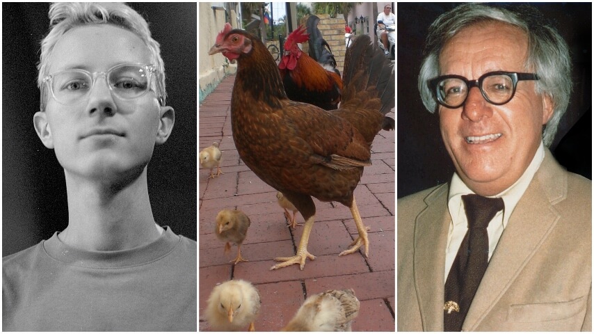 Wikipedia fights off boredom with pencil fighting, paint drying, and Ray Bradbury